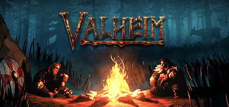 Hébergement serveur Valheim 1VPS — infrastructure Bruxelles