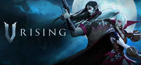 Hébergement serveur V Rising 1VPS — infrastructure Bruxelles