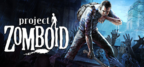 Hébergement serveur Project Zomboid 1VPS — infrastructure Bruxelles